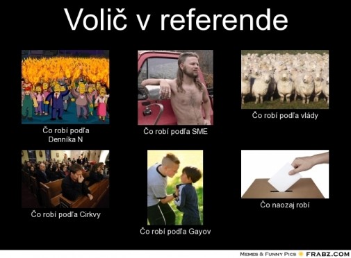 Čo naozaj robí volič v referende?