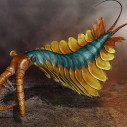 Anomalocaris